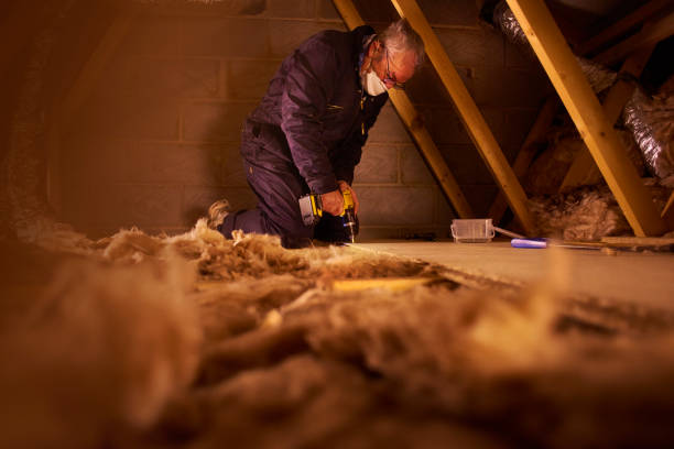 Best Insulation Maintenance and Repair in Clinton, UT